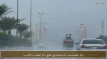 ارتفاع درجات الحرارة في القاهرة إلى 20 درجة وسط طقس دافئ غدًا